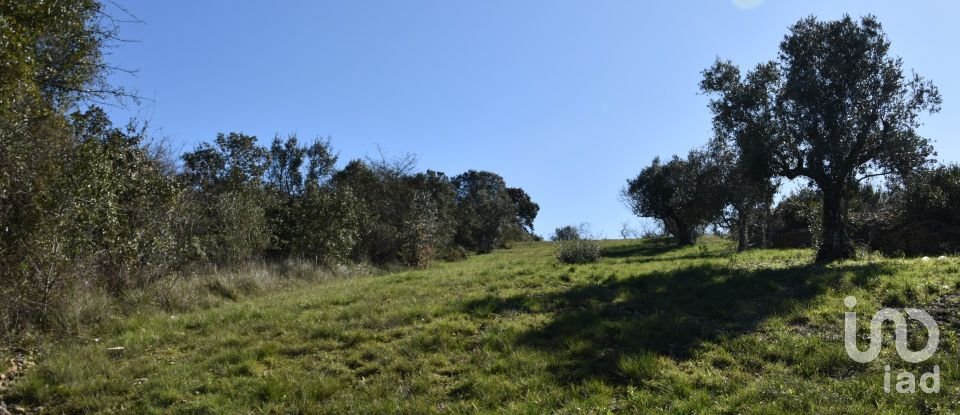 Terreno em Chãos de 2 000 m²