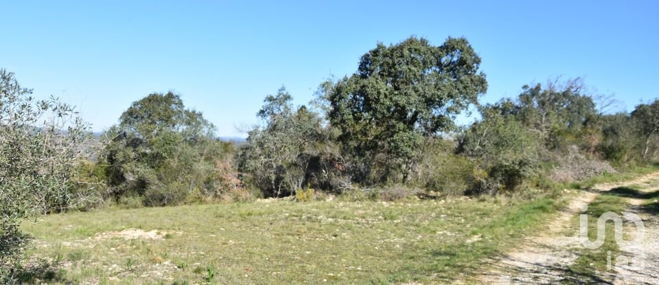 Terreno em Chãos de 2 000 m²