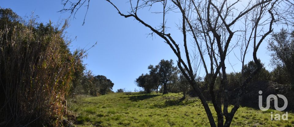 Terreno em Chãos de 2 000 m²