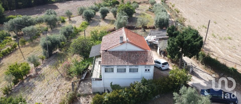 Farm T3 in Celorico (São Pedro e Santa Maria) e Vila Boa do Mondego of 160 m²