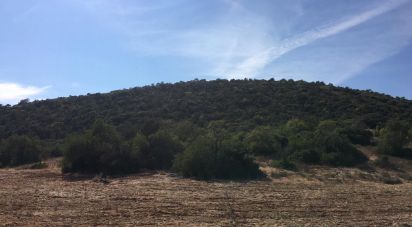 Land in Loulé (São Sebastião) of 305 m²