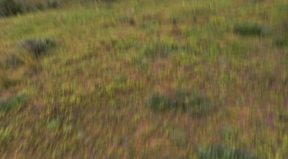 Terrain agricole à Quarteira de 3 500 m²