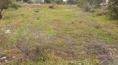 Terrain agricole à Quarteira de 3 500 m²