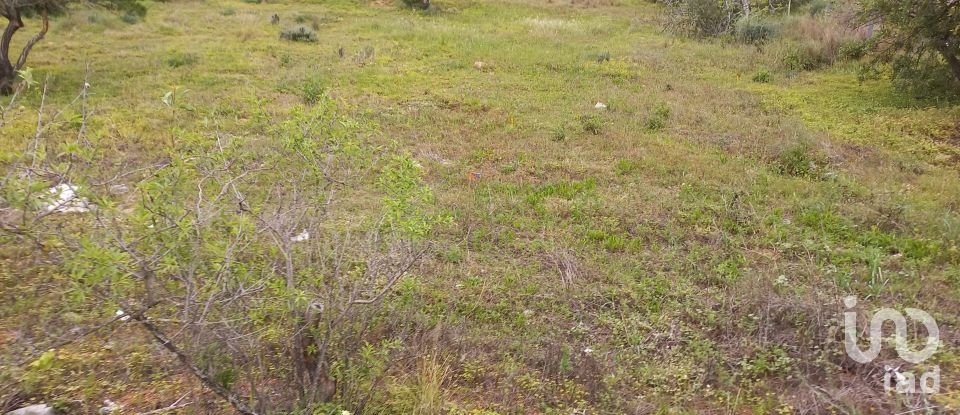 Terreno rústico em Quarteira de 3 500 m²