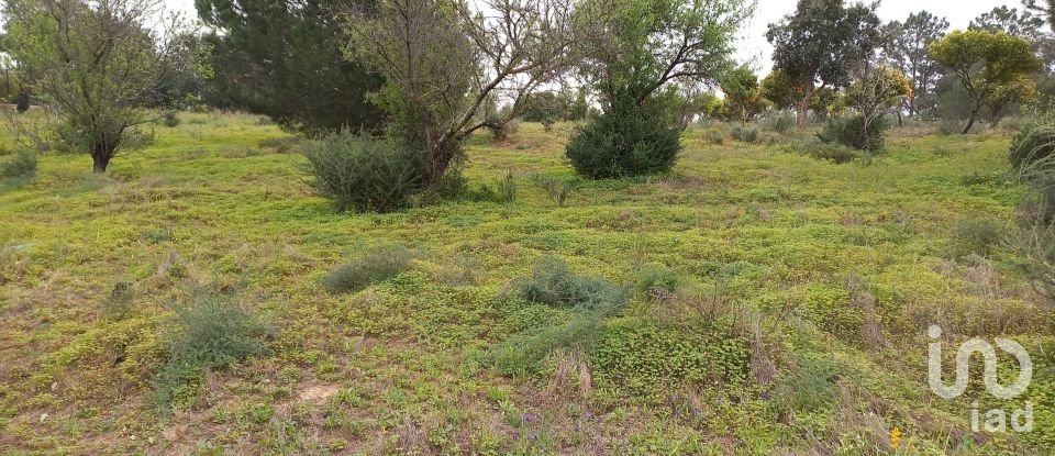 Terreno rústico em Quarteira de 3 500 m²