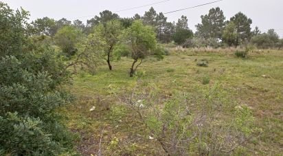 Terrain agricole à Quarteira de 3 500 m²