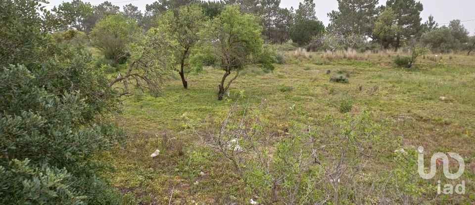 Terreno rústico em Quarteira de 3 500 m²