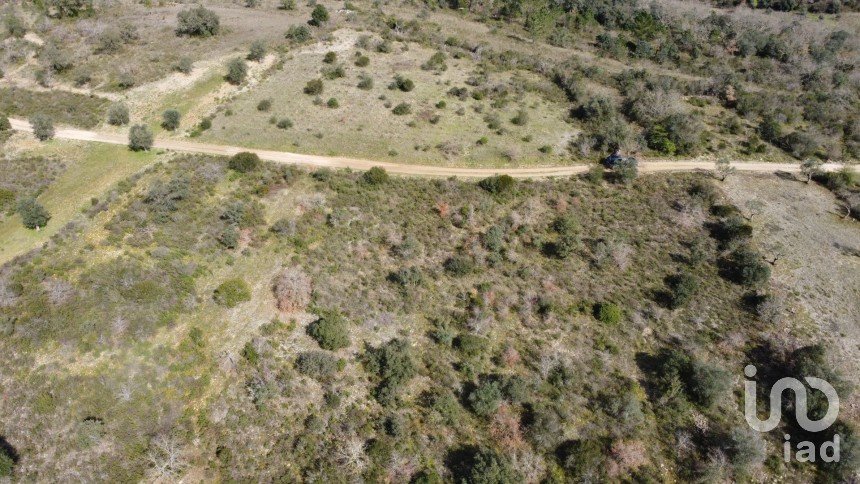 Terrain à Chãos de 13 960 m²