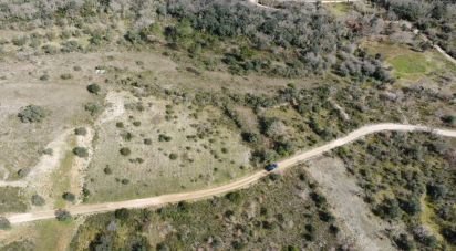 Terrain à Chãos de 13 960 m²