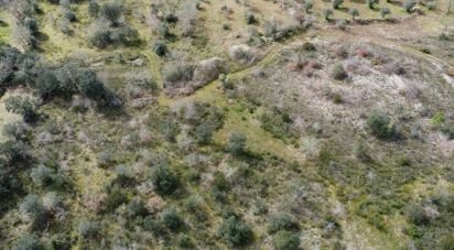 Terrain à Chãos de 13 960 m²