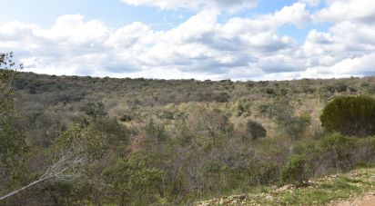 Terrain à Chãos de 13 960 m²