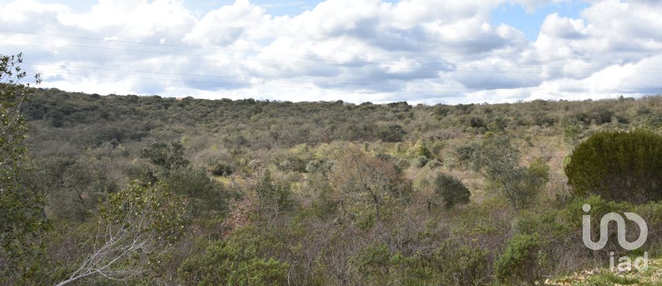 Terrain à Chãos de 13 960 m²