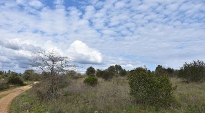 Terrain à Chãos de 13 960 m²
