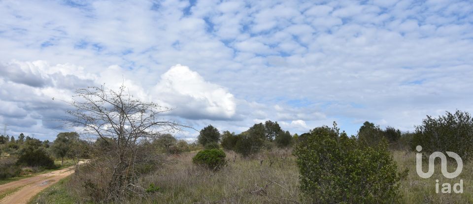 Terrain à Chãos de 13 960 m²