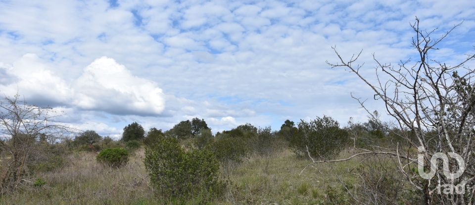 Terrain à Chãos de 13 960 m²