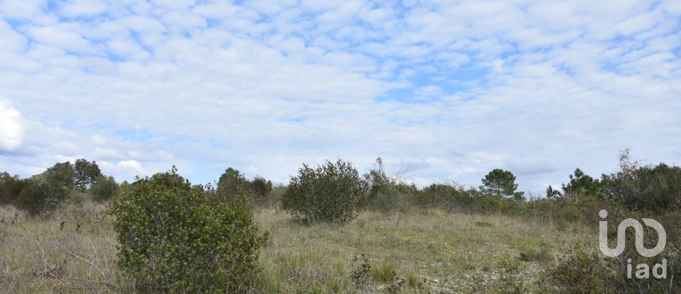 Terrain à Chãos de 13 960 m²