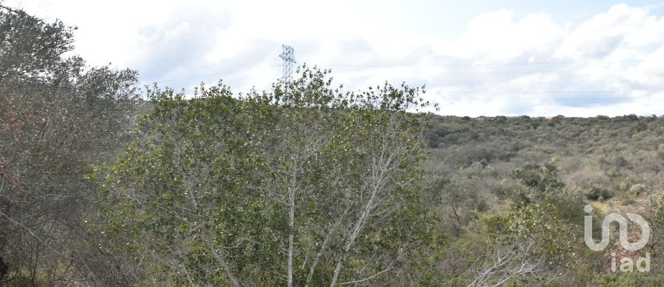 Terrain à Chãos de 13 960 m²