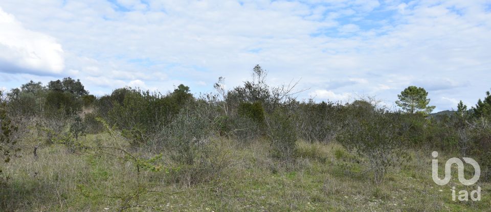 Terrain à Chãos de 13 960 m²