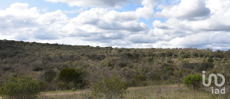 Terrain à Chãos de 13 960 m²