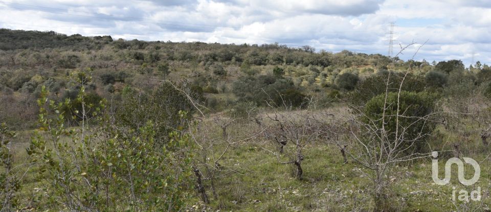 Terrain à Chãos de 13 960 m²