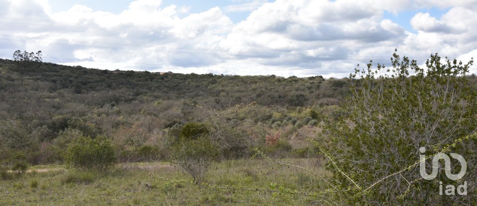 Terrain à Chãos de 13 960 m²