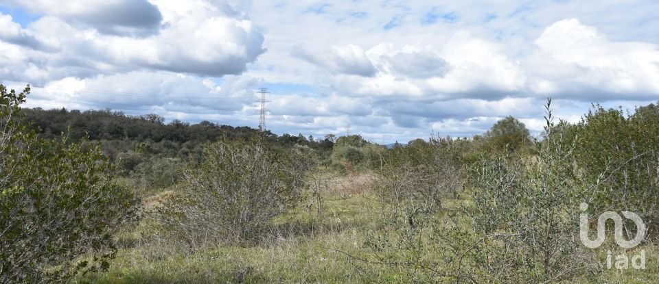 Terrain à Chãos de 13 960 m²