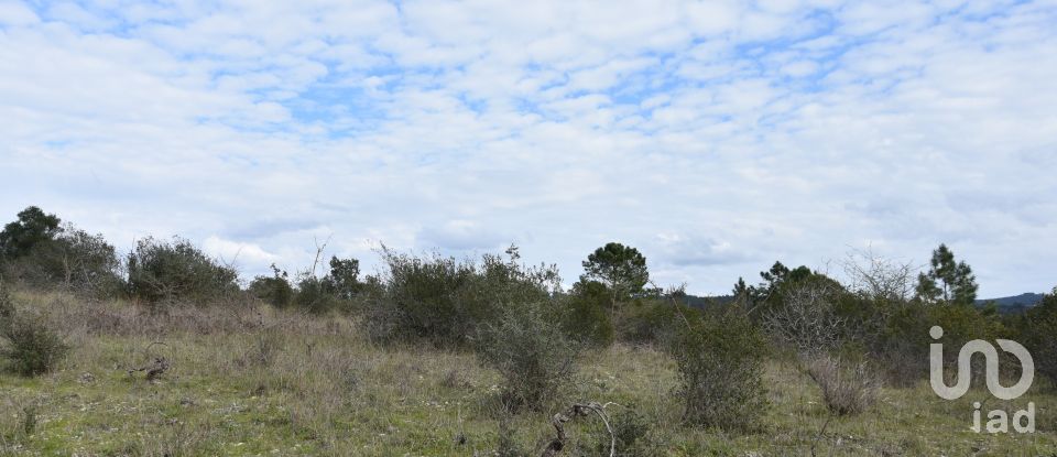Terrain à Chãos de 13 960 m²