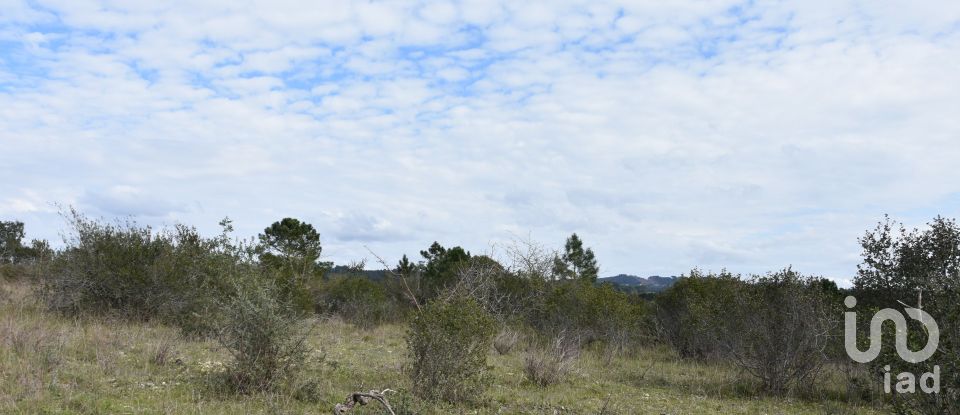 Terrain à Chãos de 13 960 m²