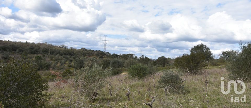 Terrain à Chãos de 13 960 m²