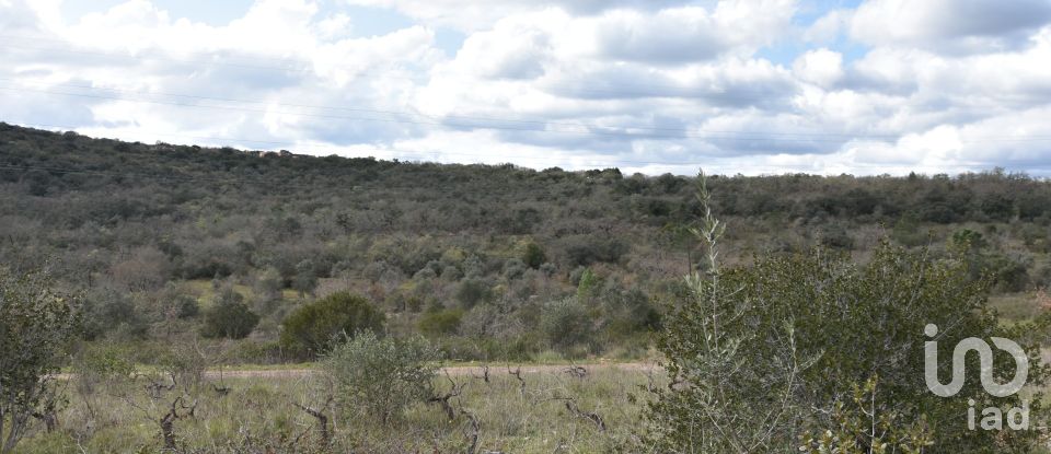 Terrain à Chãos de 13 960 m²