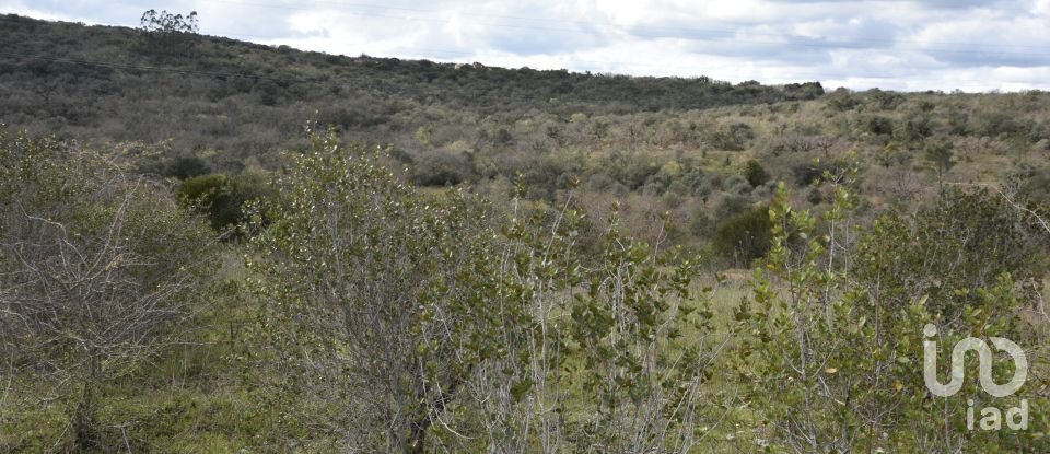 Terrain à Chãos de 13 960 m²