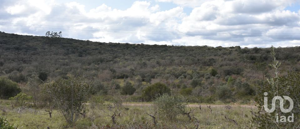 Terrain à Chãos de 13 960 m²