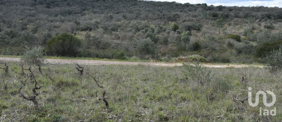 Terrain à Chãos de 13 960 m²