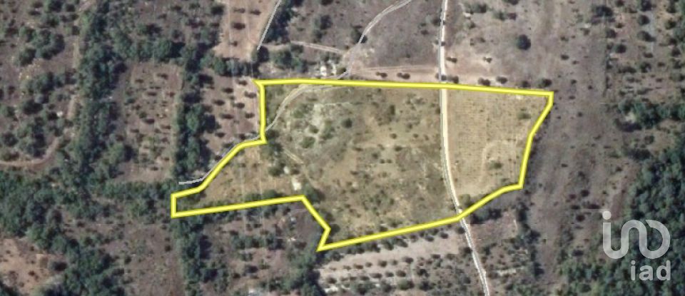 Terrain à Chãos de 13 960 m²