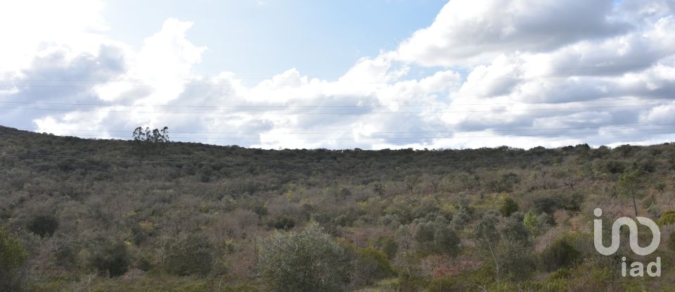 Terrain à Chãos de 13 960 m²