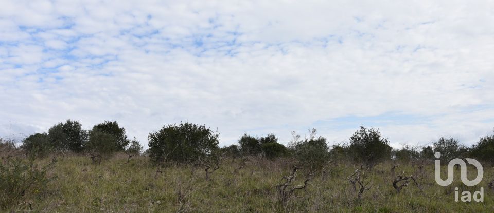 Terrain à Chãos de 13 960 m²