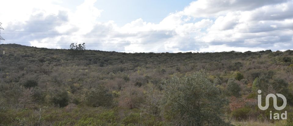 Terrain à Chãos de 13 960 m²