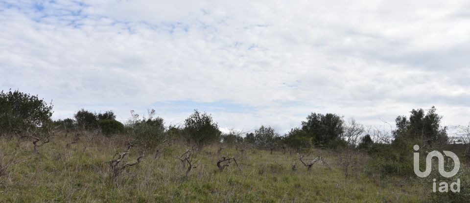 Terrain à Chãos de 13 960 m²
