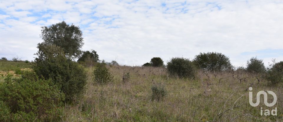 Terrain à Chãos de 13 960 m²