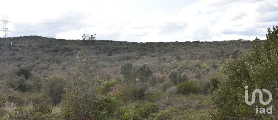 Terrain à Chãos de 13 960 m²