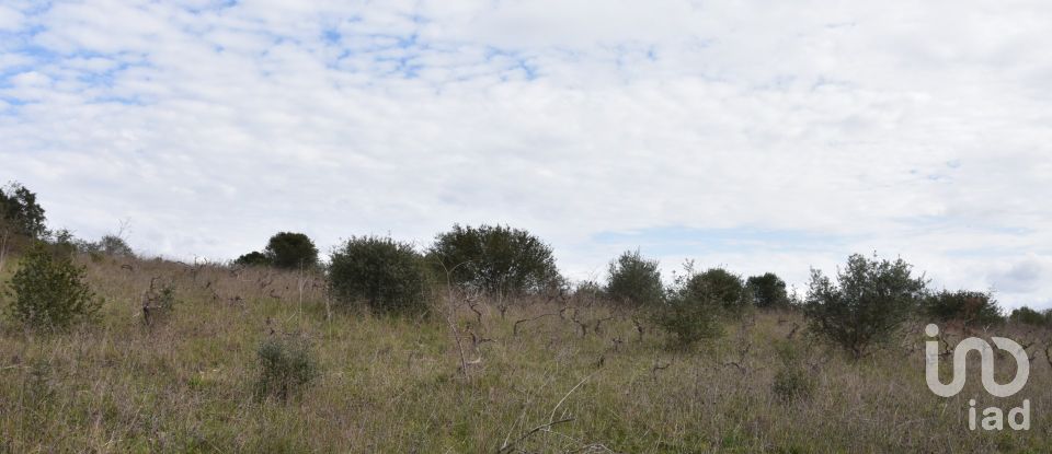 Terrain à Chãos de 13 960 m²