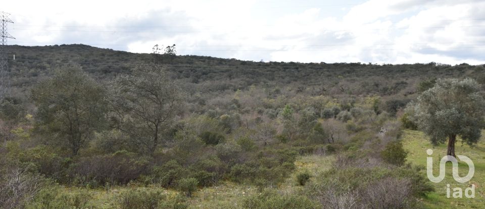 Terrain à Chãos de 13 960 m²