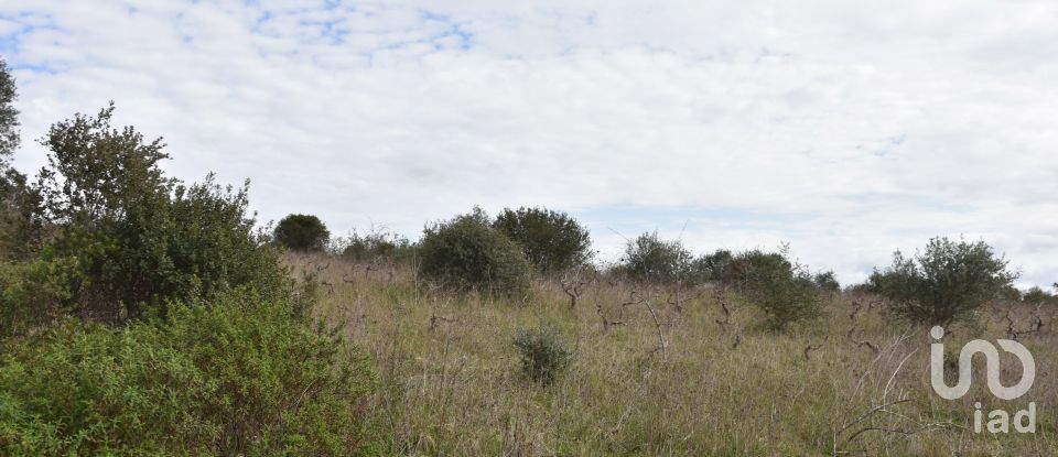 Terrain à Chãos de 13 960 m²