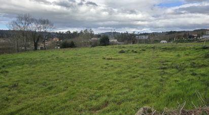 Terrain à Vila meã de 4 880 m²