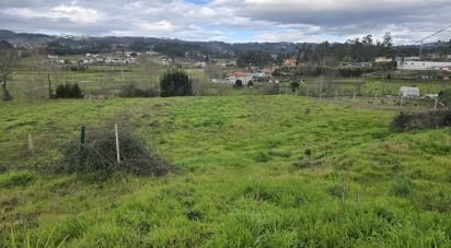 Terrain à Vila meã de 4 880 m²