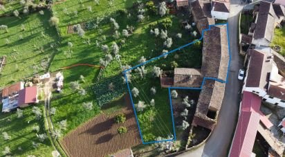 Gîte T6 à Graça de 176 m²