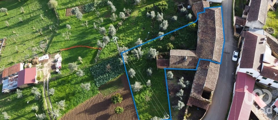 Lodge T6 in Graça of 176 m²