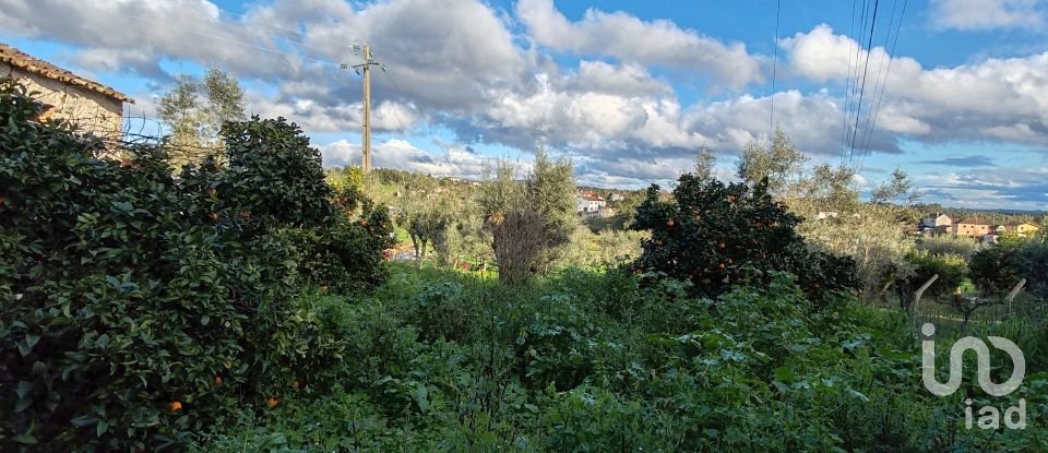 Lodge T6 in Graça of 176 m²