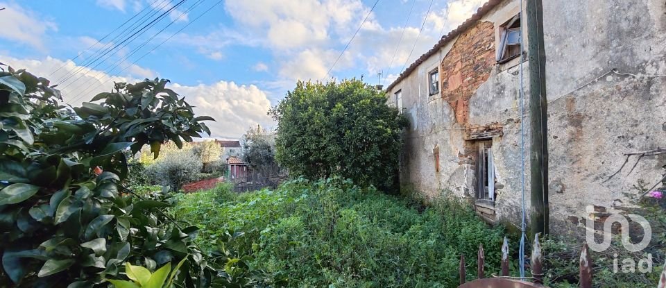 Lodge T6 in Graça of 176 m²