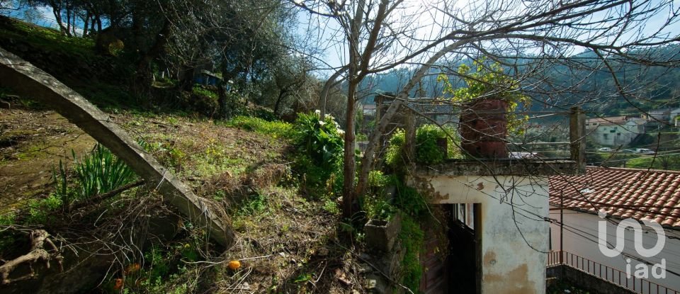 Moradia T3 em Lousã e Vilarinho de 351 m²